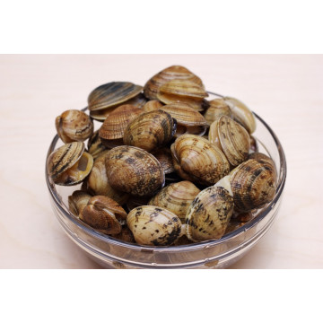 VONGOLE MARO PACIFIC