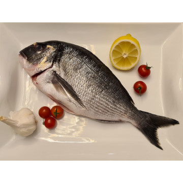DORADA EVISCERATĂ